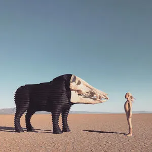 Dream hunting in the valley of the in-between